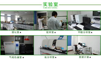 杭州滨江区检测甲醛最好的单位 传扬环保